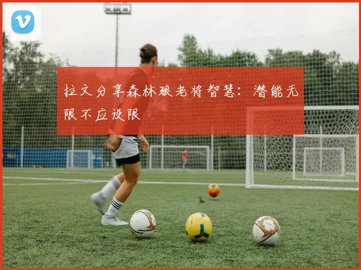 拉文分享森林狼老将智慧：潜能无限不应设限